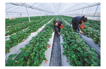 運用數(shù)字技術(shù) 開拓消費空間