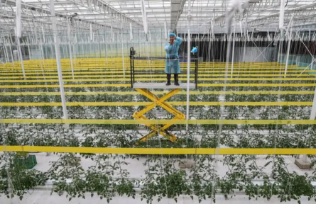 藏糧于技，“二十連豐”中的智慧農(nóng)業(yè)