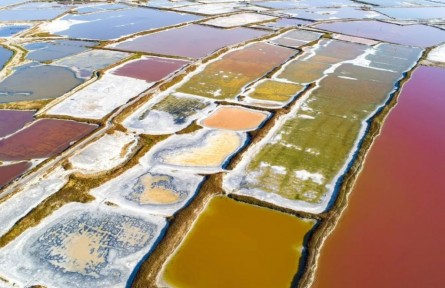 以鹽為媒，群方“咸”遂：鹽為什么被稱為“鹽巴”？