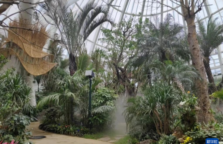 成都世園會：“神奇植物”在哪里？