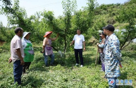 胡正明：丹心書寫“耕耘志”，麻山深處“種樹人”