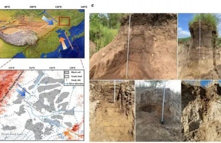 科普|東北黑土是“大風刮來”的？