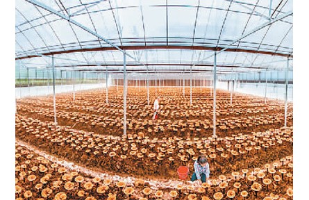 生態(tài)文明視角下的文化和自然遺產保護