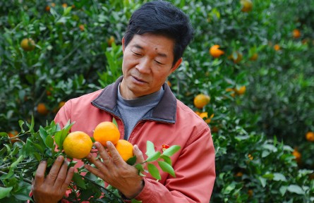 駐村最后一天，王應(yīng)生回頭“三看”