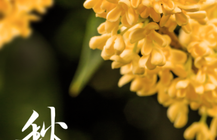 當(dāng)秋分遇上豐收節(jié)，又是一年好“豐”景