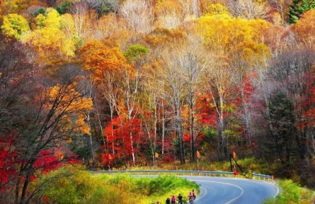 長(zhǎng)白秘境，吉線331！中國(guó)國(guó)家地理考察傳播活動(dòng)啟動(dòng)！