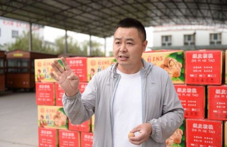 把小核桃做成產(chǎn)業(yè)鏈，創(chuàng)業(yè)青年在新疆農(nóng)村找到“第二故鄉(xiāng)”