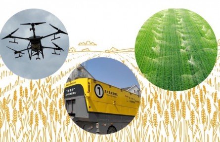 世界糧食日：糧食安全如何實(shí)現(xiàn)？新農(nóng)人、專家、倉管員三重身份體驗(yàn)