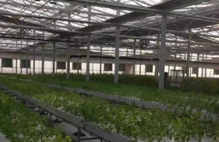 新疆各地智慧農(nóng)業(yè)助推現(xiàn)代農(nóng)業(yè)轉型升級