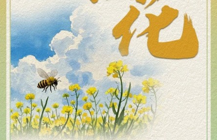 油菜花哪里賞？快收下這份油菜花賞花氣象指南！