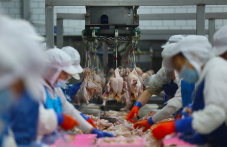 食品安全全鏈條監(jiān)管 food safety supervision across the entire supply chain