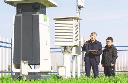 湖北襄陽：智慧農(nóng)業(yè)科技范十足