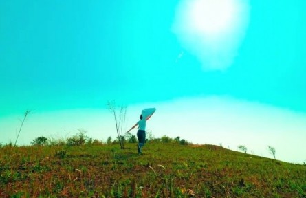 旅居云南：賞春光品春茶 普洱茶古茶山等你來