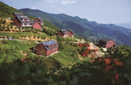 旅居云南：南澗縣無量藥谷 打造康養(yǎng)旅居勝地