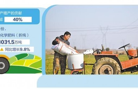 綠色農(nóng)資保增收