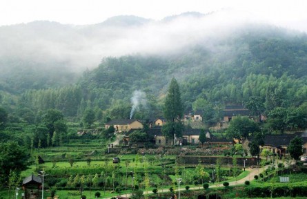 湖北麻城：茯苓窩的生態(tài)價值轉(zhuǎn)化之路