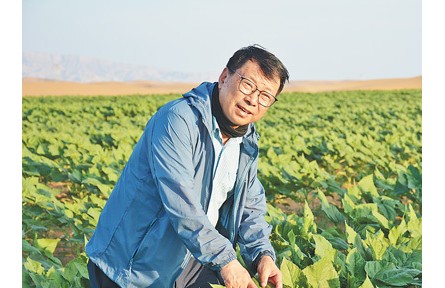 力學專家，跨界治沙