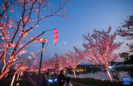 美麗鄉(xiāng)村開啟“春日花朝節(jié)”