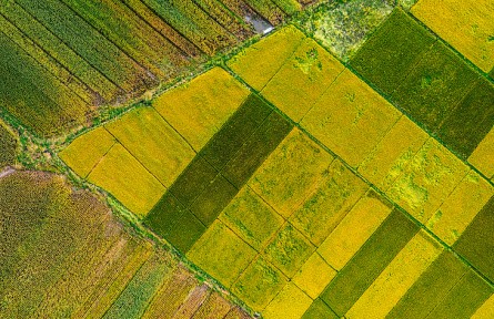 遼寧：守住“兩條底線” 推動三農(nóng)“三增”