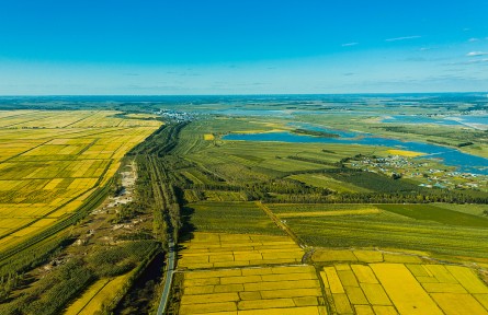 “數(shù)商興農(nóng)” 龍江好物云端“出村”