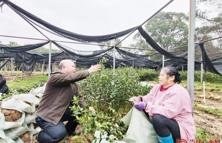 全國崗位學雷鋒標兵鄧蔭偉：點樹成金的“泥腿教授”