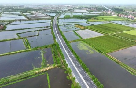 湖北江陵：小龍蝦“鏈”出大產(chǎn)業(yè)！繪就農(nóng)業(yè)發(fā)展新圖景