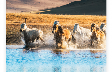 名言|曾子：人非人不濟，馬非馬不走，土非土不高，水非水不流