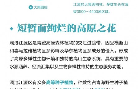 走近三江源|認(rèn)識三江源：高原峽谷綻生機(jī)（下）
