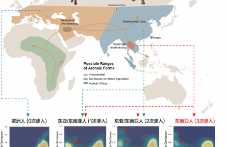 東南亞人群基因密碼破譯 填補全球人類基因組研究“最后一塊拼圖”