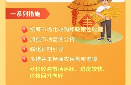 全國秋糧收購完美收官 新一季夏糧收購即將開啟