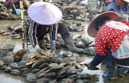 全球農業(yè)文化遺產上新，為何是它們？