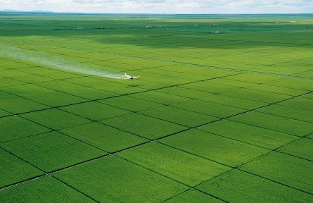 黑龍江：從“搶農(nóng)時(shí)”到“慧種田”