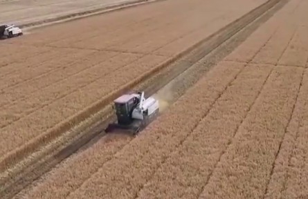 【在希望的田野上·三夏時(shí)節(jié)】向科技要產(chǎn)能 助力全年糧食豐收