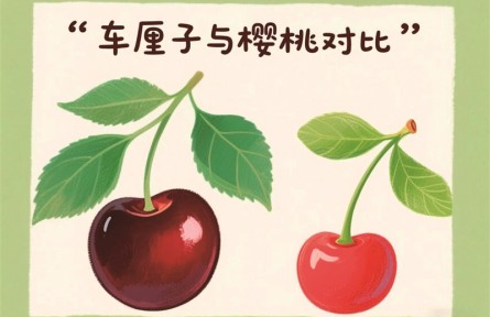 辟謠|“車?yán)遄佑卸尽钡牧餮耘c真相