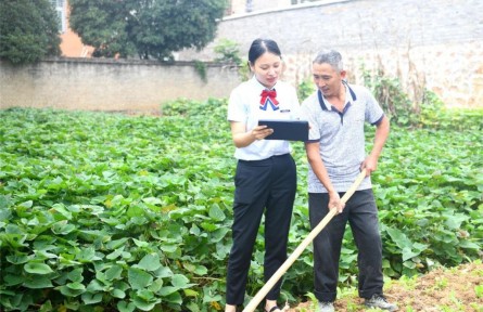 湖北通山：數(shù)字賦能鄉(xiāng)村 智繪發(fā)展新篇