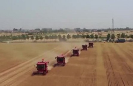 【在希望的田野上·三夏時節(jié)】智慧氣象“搶”出麥?zhǔn)占铀俣?></a></td>
<td align=