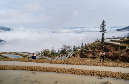 橫向生態(tài)保護補償機制 cross-basin ecological compensation mechanism