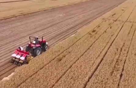 【在希望的田野上·三夏時節(jié)】全國夏糧小麥?zhǔn)斋@進度過半