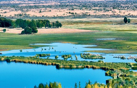 筑牢我國北方重要生態(tài)安全屏障