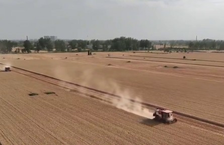 “云端”上的農(nóng)機 助力麥?zhǔn)仗崴偬豳|(zhì)