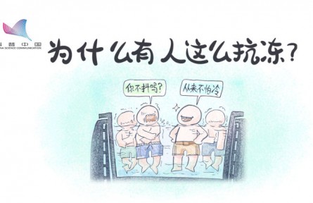 真的有人更不怕冷嗎？原來是骨骼肌中缺少一種蛋白