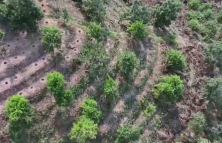 云南臨滄：一?？Х榷沟摹皠?chuàng)新突圍”