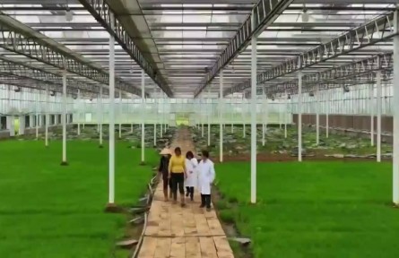 安徽投入187.2億元財政資金支持糧食生產(chǎn)