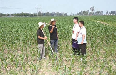 河南護航高標準農田建設 筑牢糧食安全根基