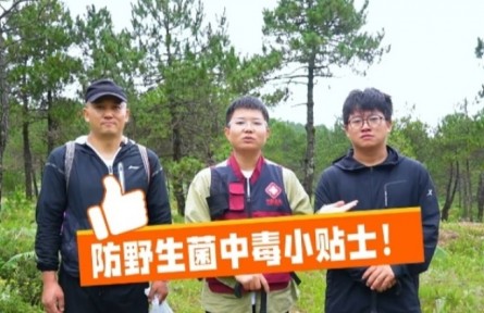 這份“防野生菌中毒小貼士”請(qǐng)收好！