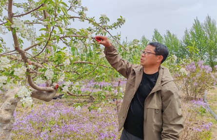 陶占富：治沙尖兵 致富能手