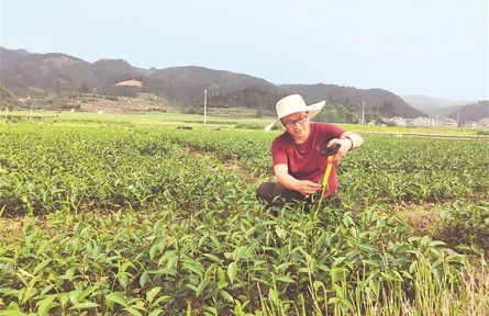 “綠色使者”吳開(kāi)勇：深耕林海二十八載