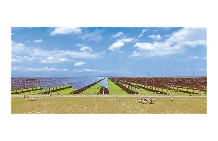 青海海南州：以“光伏+生態(tài)+農牧業(yè)”治理荒漠化