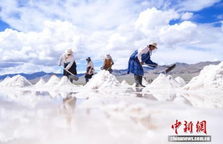 西藏阿里：千年“鹽羊古道”生機(jī)依舊