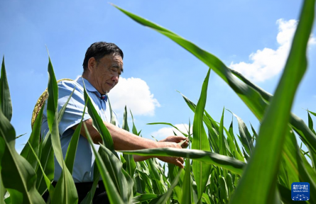“不管啥時(shí)候，都要把地種好”——記時(shí)代楷模、“種糧大戶”徐淙祥